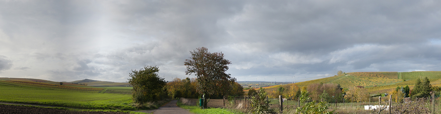 Kisselstrasse_Vorher