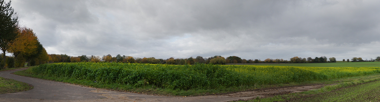 ortsausfahrt-vorher